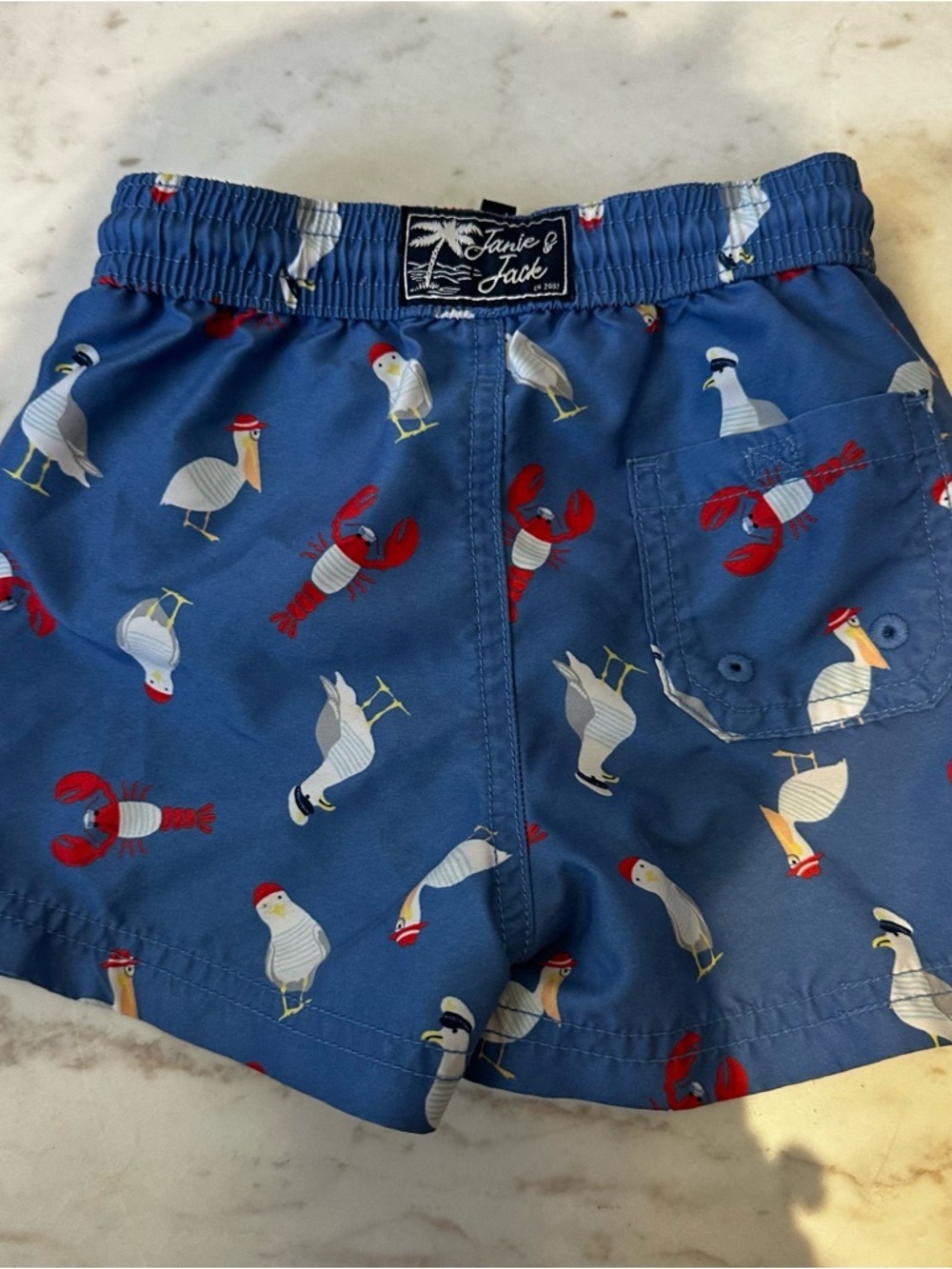 Janie And Jack Swimsuit Swim Trunks Swimming Size 12-18 Months